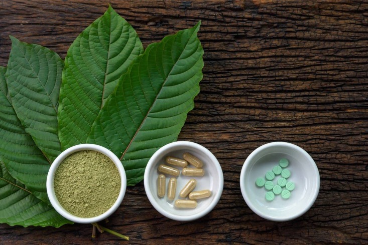 Kratom Mitragyna speciosa and COVID-19: How about the current evidence? PMC